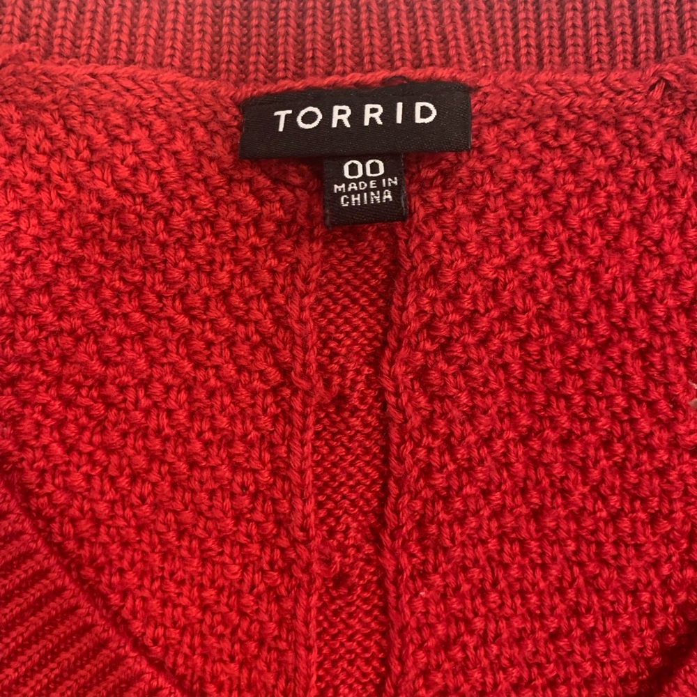 Torrid Sweater